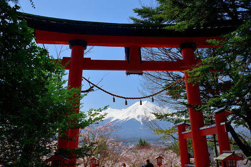 Fuji-Yoshida City, Yamanashi Prefecture, Japan-April 12, 2022:\nMt. Fuji and Five-story Pagoda called Churei-to in cherry blossom season, taken at Arakurayama Sengen Park, located in Fuji-yoshida city, Yamanashi Prefecture. The park is open to the public free of charge.\nThe pagoda was constructed in 1959 to commemorate those who died in the World War II.\nYou have to go up 398 steps to the pagoda from the foot of the hill, where Arakura Fuji Sengen Shrine is located.\nArakura Fuji Sengen Shrine was erected in 705, and is one of about 1,300 Sengen shrines which were erected in honor of the deity of Mt. Fuji. This place is very popular among tourists from both Japan and overseas for its wonderful view, combining typical Japanese symbols of Mt. Fuji, Pagoda and cherry blossom.