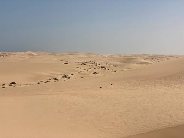 istock Wahiba Sands desert in Oman 1392458542
