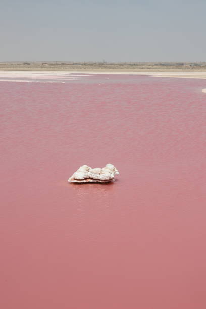 istock Pink lake in Oman 1392460309
