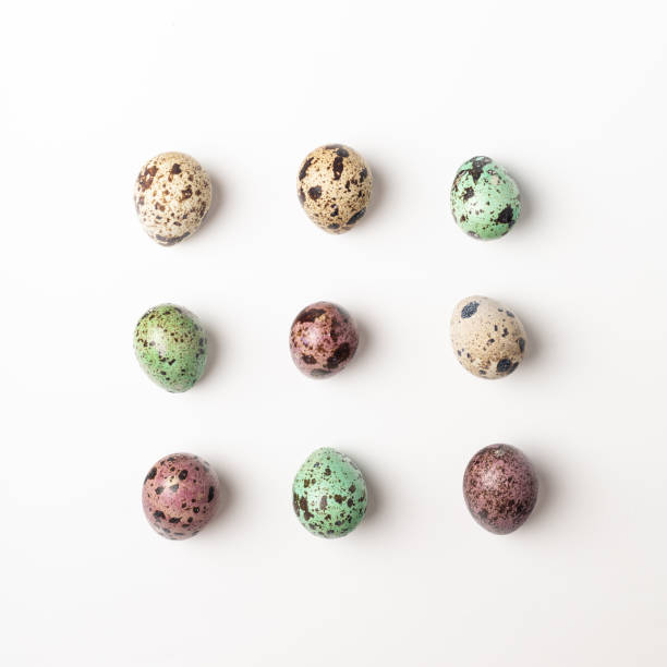 Multicolored quail eggs pattern Easter