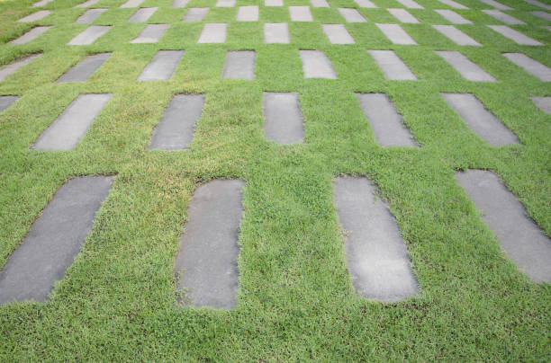The Cement tiles between green grass background. Green grass and cement pavement.