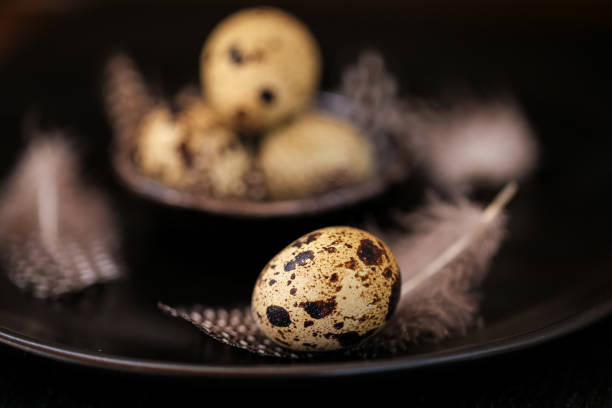 istock Quail eggs with feathers in a black ceramic plate on a black slate background.Organic Farm natural bio quail eggs set.natural protein. 1392471242