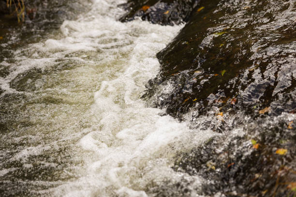 istock Close up details of waterfall stream white bubbles small countryside river. 1392472430