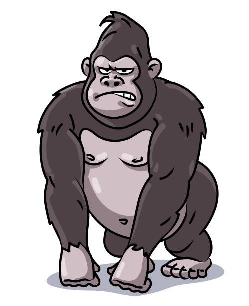 grumpy gorilla - silberrucken gorilla stock-grafiken, -clipart, -cartoons und -symbole