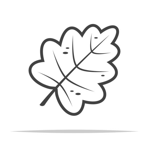 240+ Catnip Stock Illustrations, Royalty-Free Vector Graphics & Clip ...