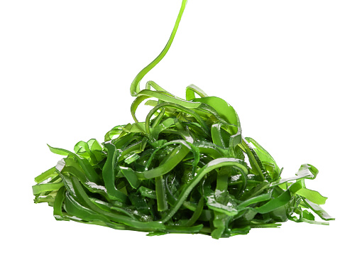 Closeup of heap of green spicy pickled wakame seaweed isolated on white background. Traditional Japanese sea vegetable appetizer