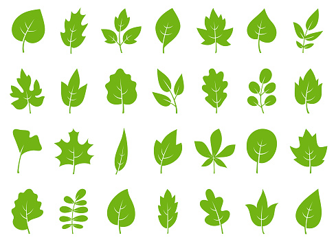 Set of hand drawn green leaves.