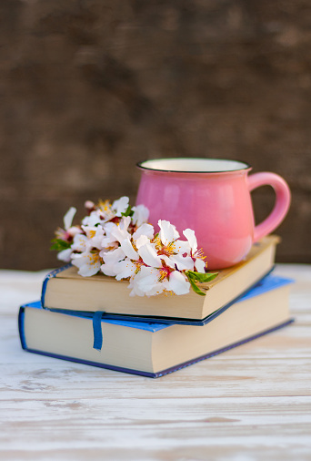 a blooming spring twig of an almond tree and pink cup on a stack of books on the table