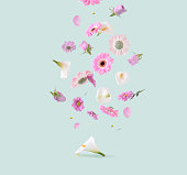 Beautiful pink, purple and white flowers on a pastel green background.