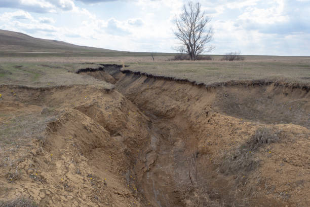 istock Deep clay ravine. Soil erosion. Natural landscape. 1392474846