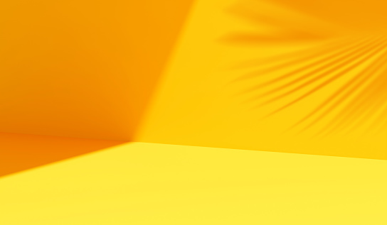 Abstracto sol amarillo luz de fondo de verano estudio de degradado de sombra tropical en blanco plataforma de producto fondo 3D o sala de exhibición de presentación soleada mínima y plantilla de banner vacía en escena colorida. photo