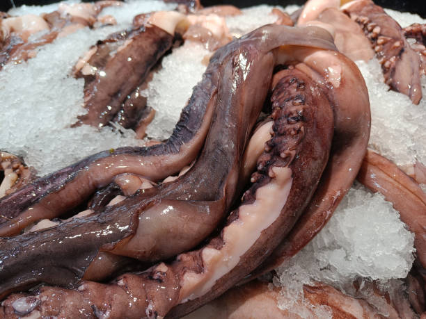 Giant purple squid legs on ice sale in the market.
