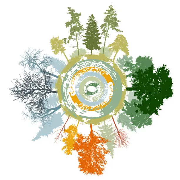 Vector illustration of Four seasons of nature. Spring and summer and autumn and winter woodland, colorful silhouette of trees around grunge circle. Vector illustration