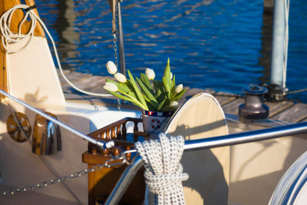 White tulips on a boat In the cockpit of a sailboat in Flevoland with ropes and ship winches, a colorful vase with white tulips stands in the early spring sun. biddinghuizen stock pictures, royalty-free photos & images
