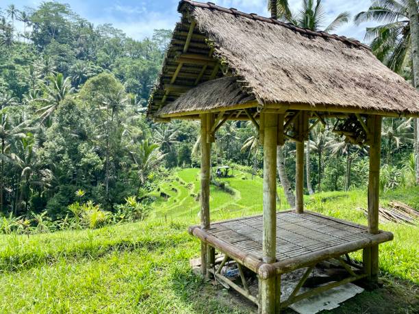 istock Rice terraces in Gunung Kawu 1392483467