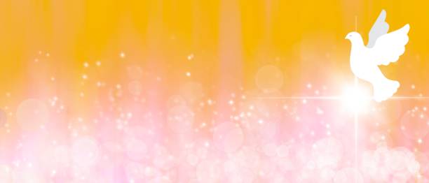 banner mit einer weißen taube. bokeh und magisches licht - pfingsten stock-grafiken, -clipart, -cartoons und -symbole