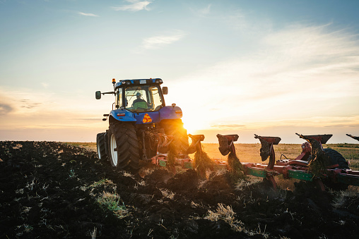 Farmer in tractor preparing land with seedbed cultivator . Agriculture concept.