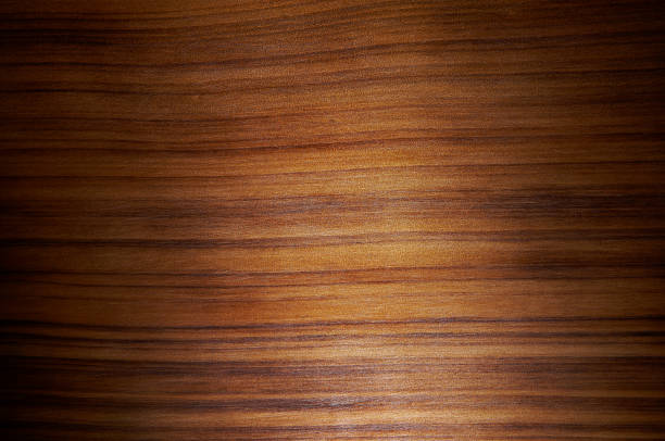 120+ Kayagum Fotos Fotografías de stock, fotos e imágenes libres de