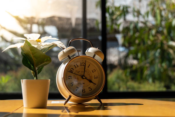 istock The clock on the table with flower pot. 1392489499