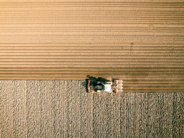 istock Tractor preparing the soil for planting crops seen from above 1392492842