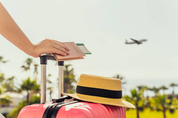 Woman with pink suitcase and passport with boarding pass standing on passengers ladder of airplane opposite sea with palm trees. Tourism concept stock photo