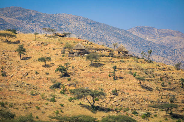 pequena vila local com casas típicas de keren - bilin - fotografias e filmes do acervo