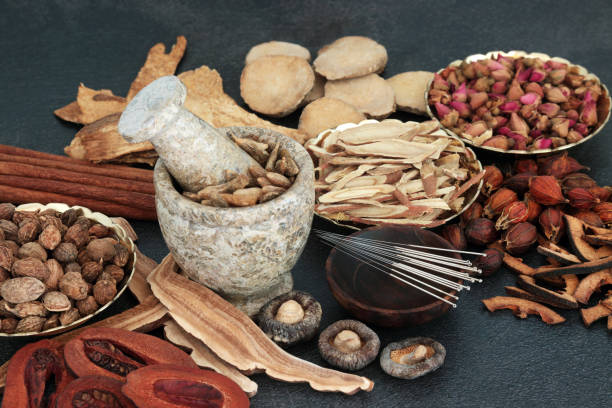 tratamiento de acupuntura china con agujas, hierbas y especias - shiitake mushroom mushroom dried food dried plant fotografías e imágenes de stock