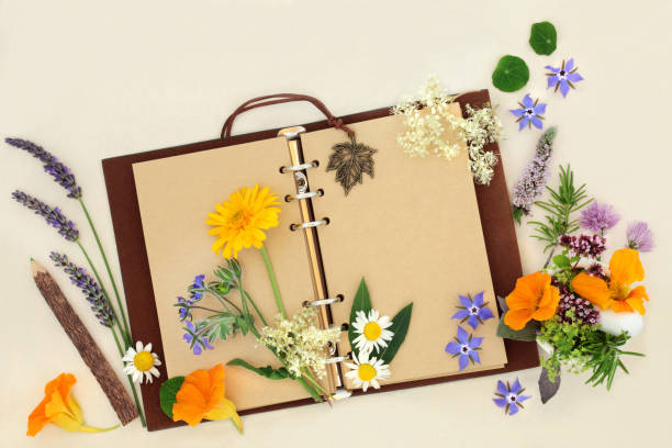 Garden Planner Study with Summer Flowers and Herbs