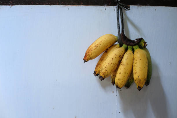istock A bunch of yellow bananas 1392498518