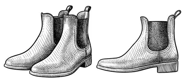 Vector illustration of Vector drawings of boots