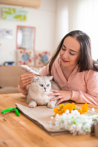 Woman Arranging Flowers With Her Cat