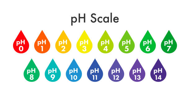 illustrazioni stock, clip art, cartoni animati e icone di tendenza di misuratore di scala del valore del ph. test del valore della scala chimica di analisi del ph. illustrazione vettoriale. - acid rain