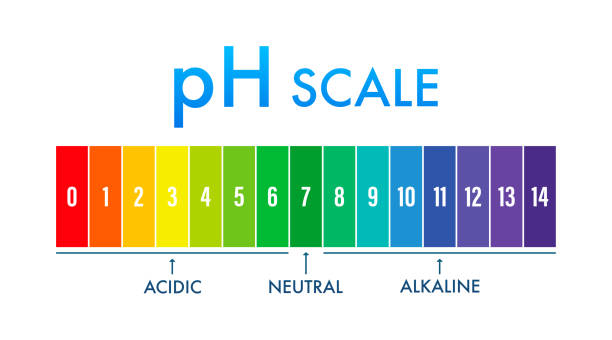 pH value scale meter. pH analysis chemical scale value test. Vector stock illustration. pH value scale meter. pH analysis chemical scale value test. Vector stock illustration acid rain stock illustrations