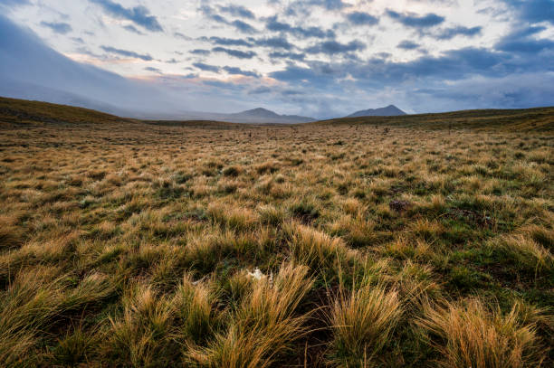 グラン サッソ e モンティ ・ デッラ ・ ラガ 国立公園 - apennines beauty in nature grass plateau ストックフォトと画像