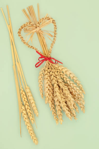 istock Traditional Straw Corn Dolly Fertility Harvest Symbol 1392503809