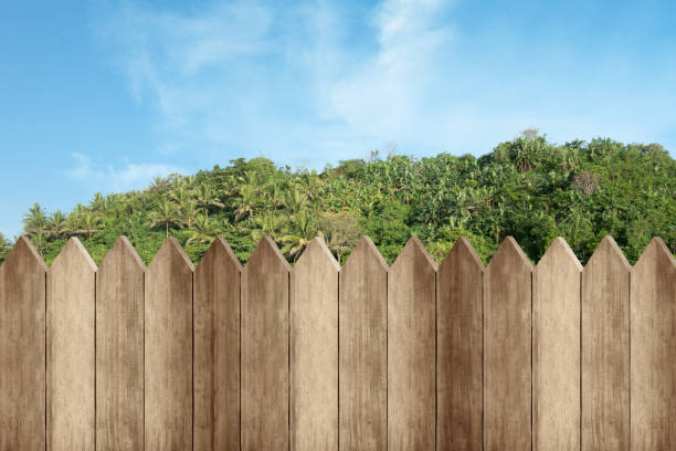 Wooden fence with trees and a blue sky background