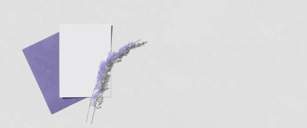 istock Blank greeting card, invitation mockup. Dry grass, pampas plant on white, violet background. Flat lay, top view. Copyspace. Blank paper cards, mock up. Modern Minimal business brand template. A6. 1392507702