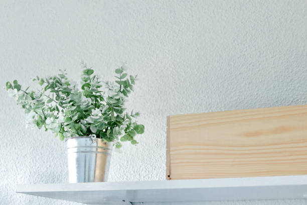 istock plant with wooden box 1392507713