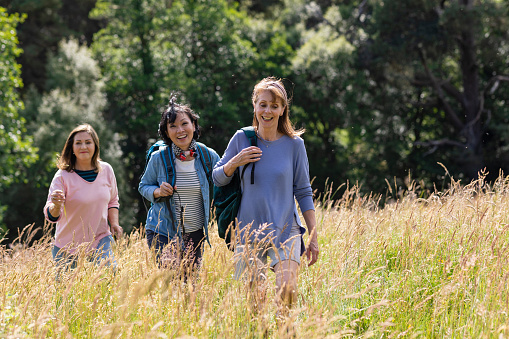 Senior women hiking together in Northumberland in a wilderness area talking and enjoying the summer. They are walking through long Timothy grass and one of the women is looking at the camera.