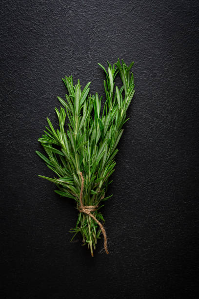 Bunch of green organic rosemary spice on black surface stock photo