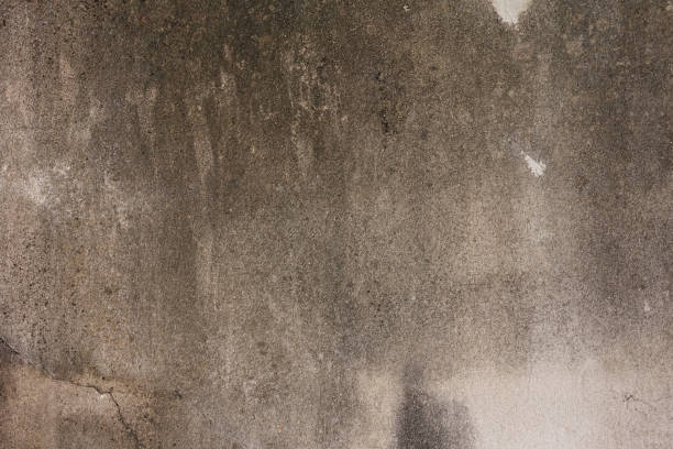 istock Old concrete white-black-cream-brown wall textures for background with cracks textures,Abstract background 1392511095