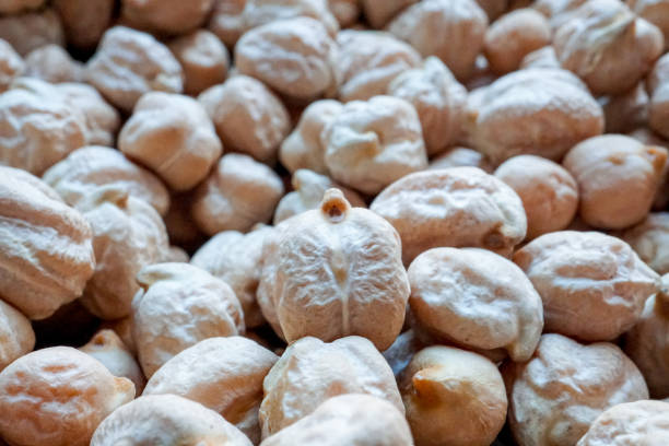 istock chickpea for cooking, uncooked food 1392511212