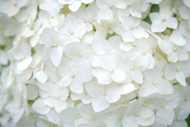 istock Multicolored floral natural background. 1392513500
