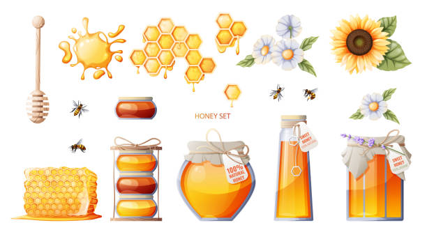 ilustrações, clipart, desenhos animados e ícones de conjunto de produtos de mel: pote de mel, favos de mel. flores de girassol, margaridas. abelhas e colher de mel. adequado para loja de mel, adesivos, design. - syrup jar sticky isolated objects