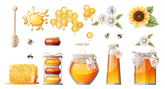 Set of honey products: jar of honey, honeycombs. Sunflower flowers, daisies. Bees and honey spoon. Suitable for honey shop, stickers, design