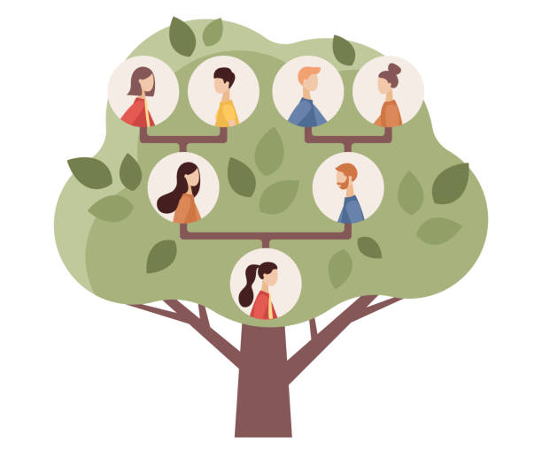 ilustraciones, imágenes clip art, dibujos animados e iconos de stock de árbol genealógico familiar. padres y abuelos, niños. genealogía, pedigrí. concepto genealógico. ilustración plana vectorial - árbol genealógico