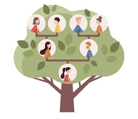 Family genealogic tree. Parents and grandparents, children. Genealogy, pedigree. Genealogical concept. Vector