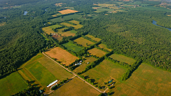 Aerial view of field and pasture surrounded by forest in Ontario, Canada.