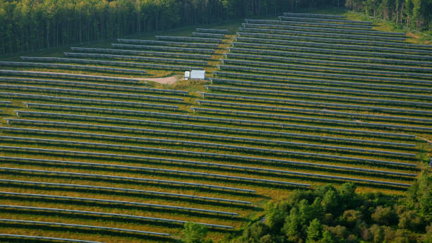 istock Solar panels in solar farm 1392519824