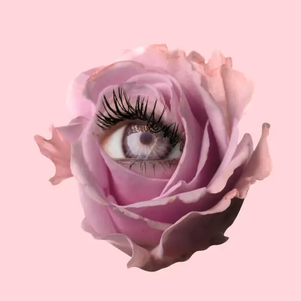 Tenderness. Tea-rose flower with an eye inside it on pink background. Modern design. Contemporary art. Creative and monochrome collage. Beauty, art, vision. Eyeball in flower. Surrealism, minimalism
